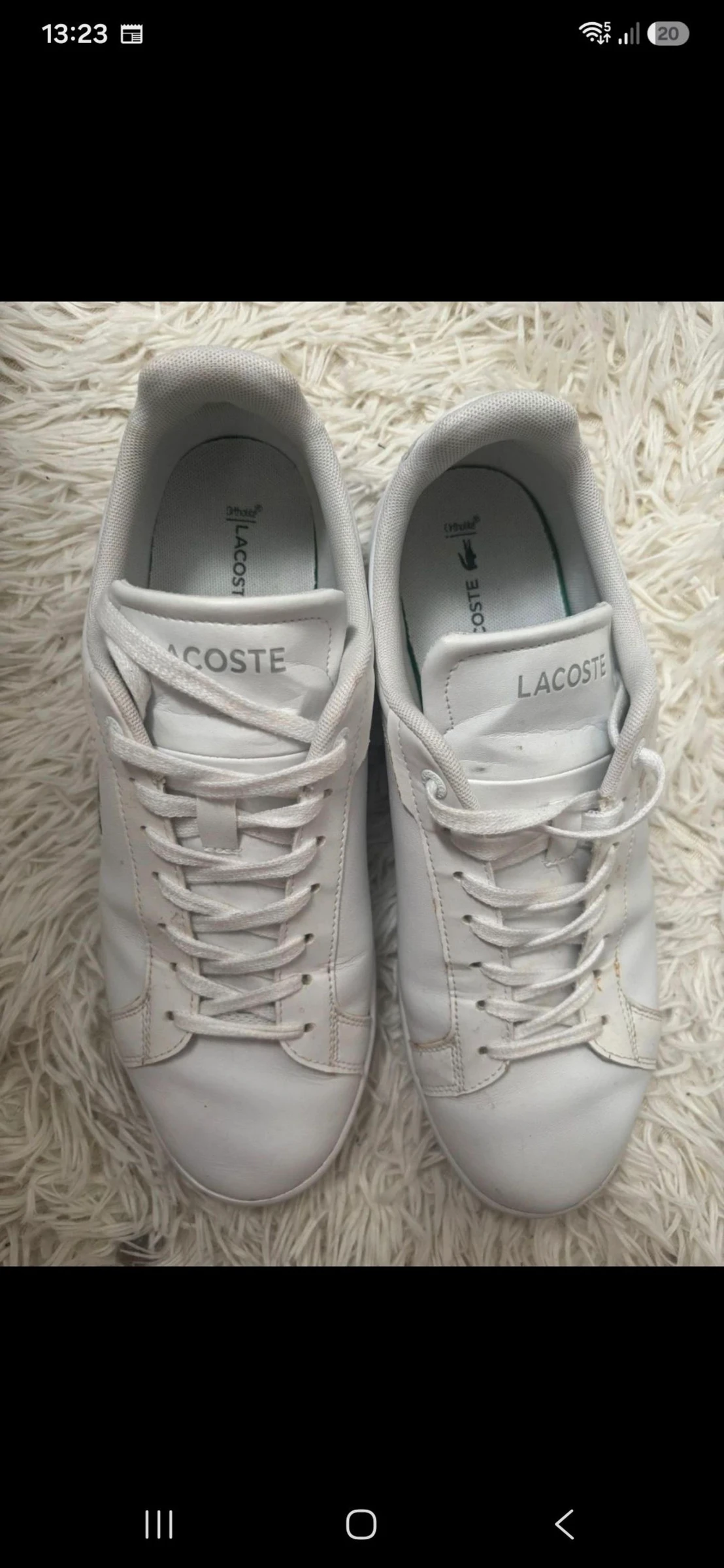 Chaussure lacoste pointure 43